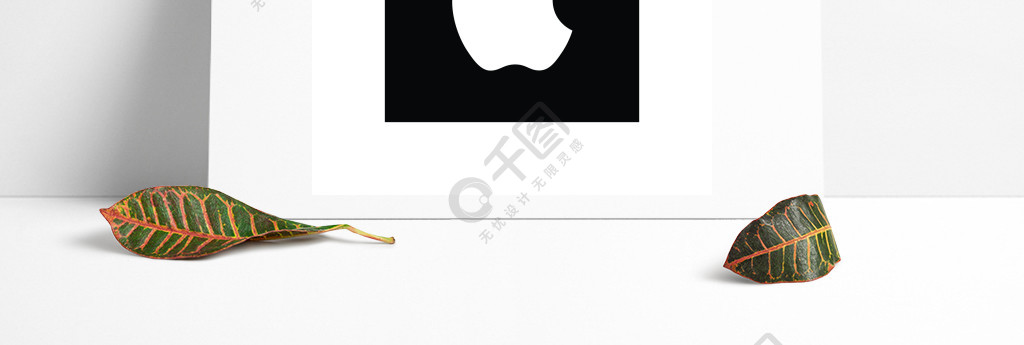 ai苹果版下载苹果手机官网ios下载安装-第1张图片-亚星国际官网